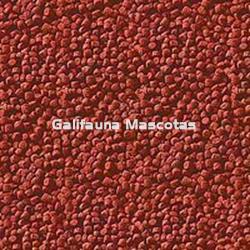 SERA Goldy gran. Granulado para carpas y otros peces agua fria - Imagen 2