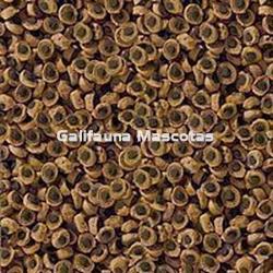 SERA Herbivor 10 litros . Alimentacion para Reptiles herbivoros - Imagen 2