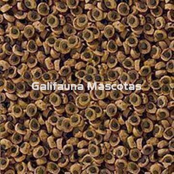 SERA Herbivor 3800 ml. Alimentacion para Reptiles herbivoros - Imagen 2