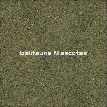 SERA Micron 50 ml.  Alimento en polvo para crias de peces - Imagen 2