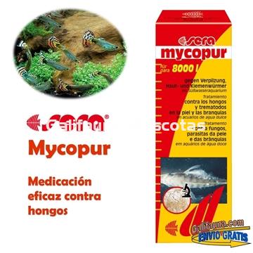 SERA Mycopur Grande 500 ml. Medicacion contra Hongos - Imagen 1