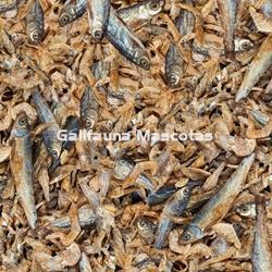 SERA Raffy Royal 3800 ml. Alimento pescado tortugas - Imagen 2