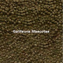 Sera Shrimps Nature. Alimento para gambas con espirulina y amentos de aliso. - Imagen 2