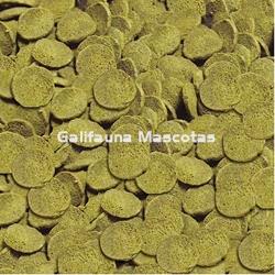 Sera  Wels-Chips 100 ml. Para siluros raspadores. - Imagen 2