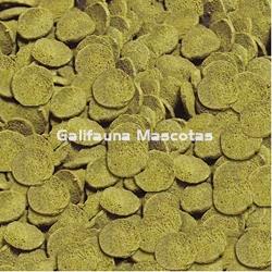 Sera  Wels-Chips. Bote grande de 10 litros. Para siluros raspadores. - Imagen 2