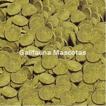 Sera  Wels-Chips. Bote grande de 10 litros. Para siluros raspadores. - Imagen 2