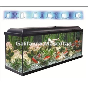 SuperKIT Acuario CLASIC LED 240 Litros con todo lo necesario para su montaje y mantenimiento. - Imagen 2