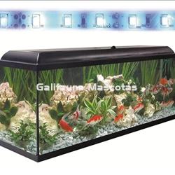 SuperKIT Acuario CLASIC LED 300 Litros con todo lo necesario para su montaje y mantenimiento. - Imagen 2