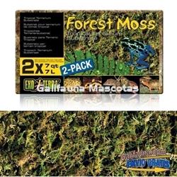 Sutrato de MUSGO NATURAL FOREST MOSS para terrarios. - Imagen 1