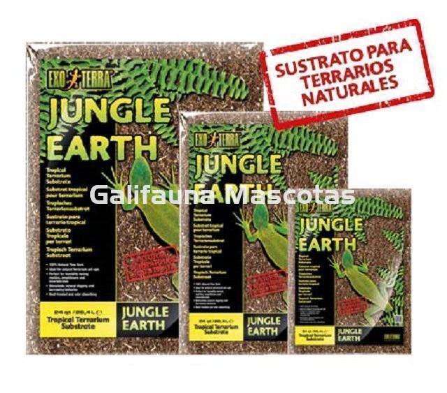 Sutrato JUNGLE EARTH para terrarios.  Suelo de corteza de pino natural. - Imagen 5