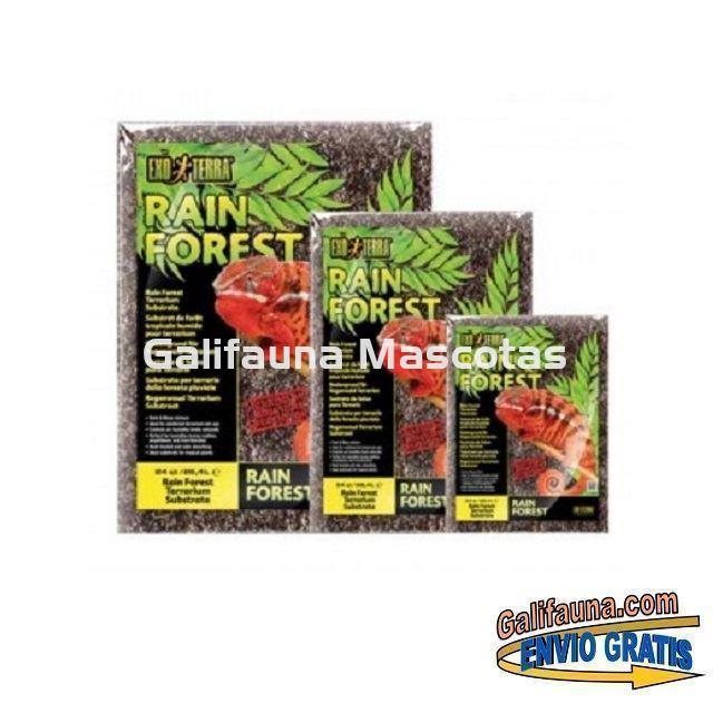 Sutrato RAINFOREST para terrarios.  Suelo de pino marítimo y musgo de Sphagnum. - Imagen 2