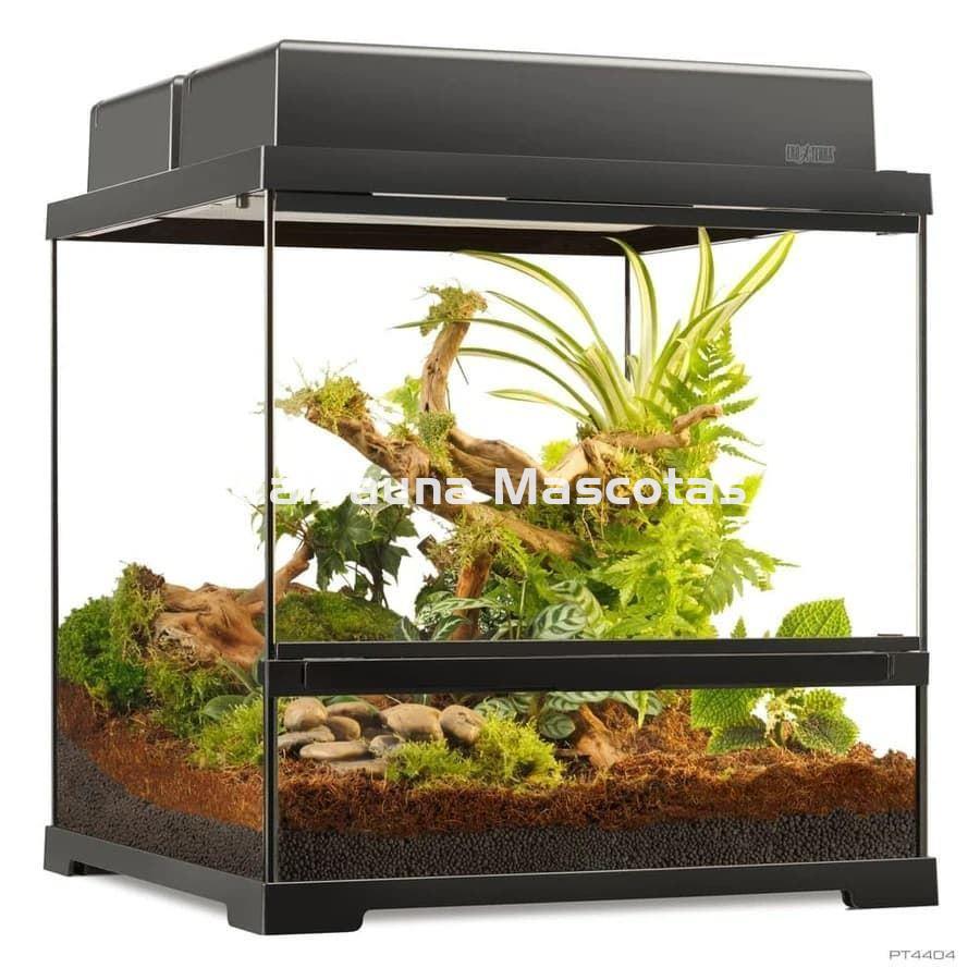 Terrario de cristal - Exo Terra Pro Terrarium de Cristal Exo Terra GRANDE - Imagen 7