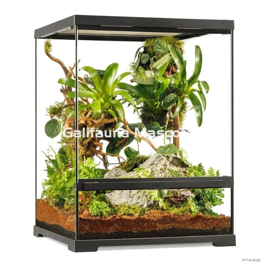 Terrario de cristal - Exo Terra Pro Terrarium de Cristal Exo Terra GRANDE - Imagen 8