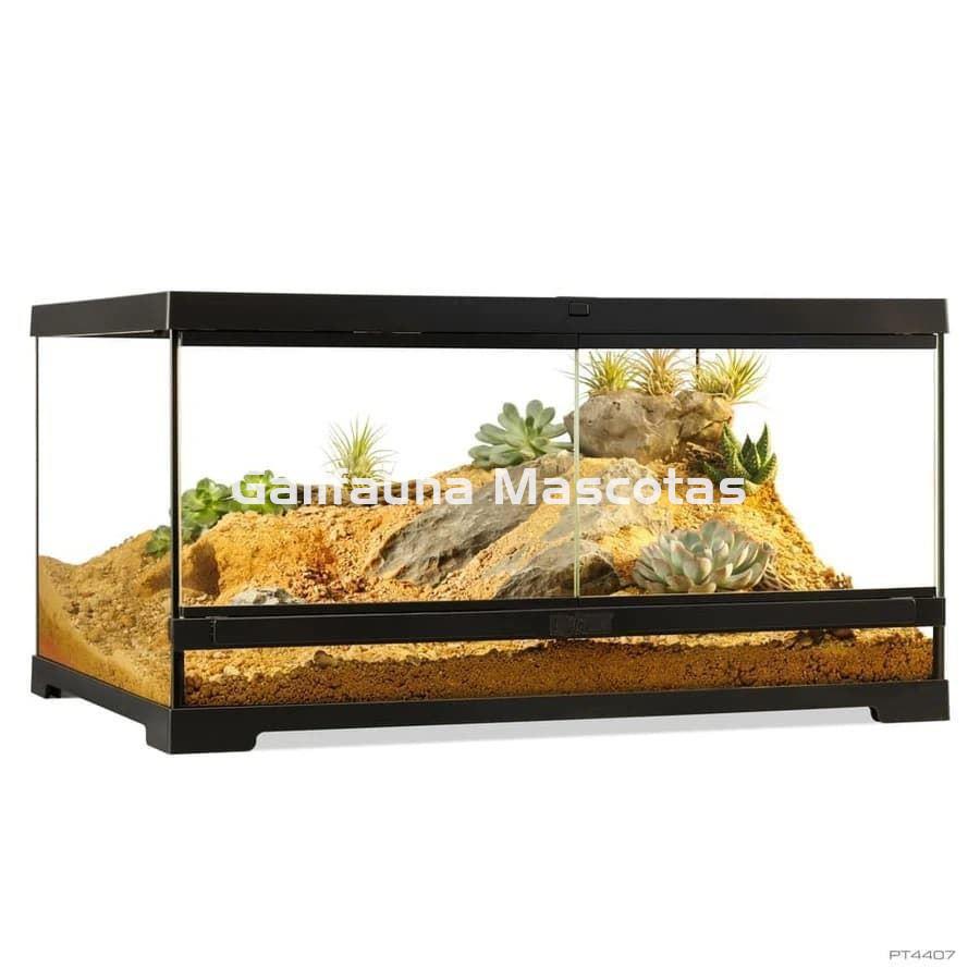 Terrario de cristal - Exo Terra Pro Terrarium de Cristal Exo Terra GRANDE - Imagen 10