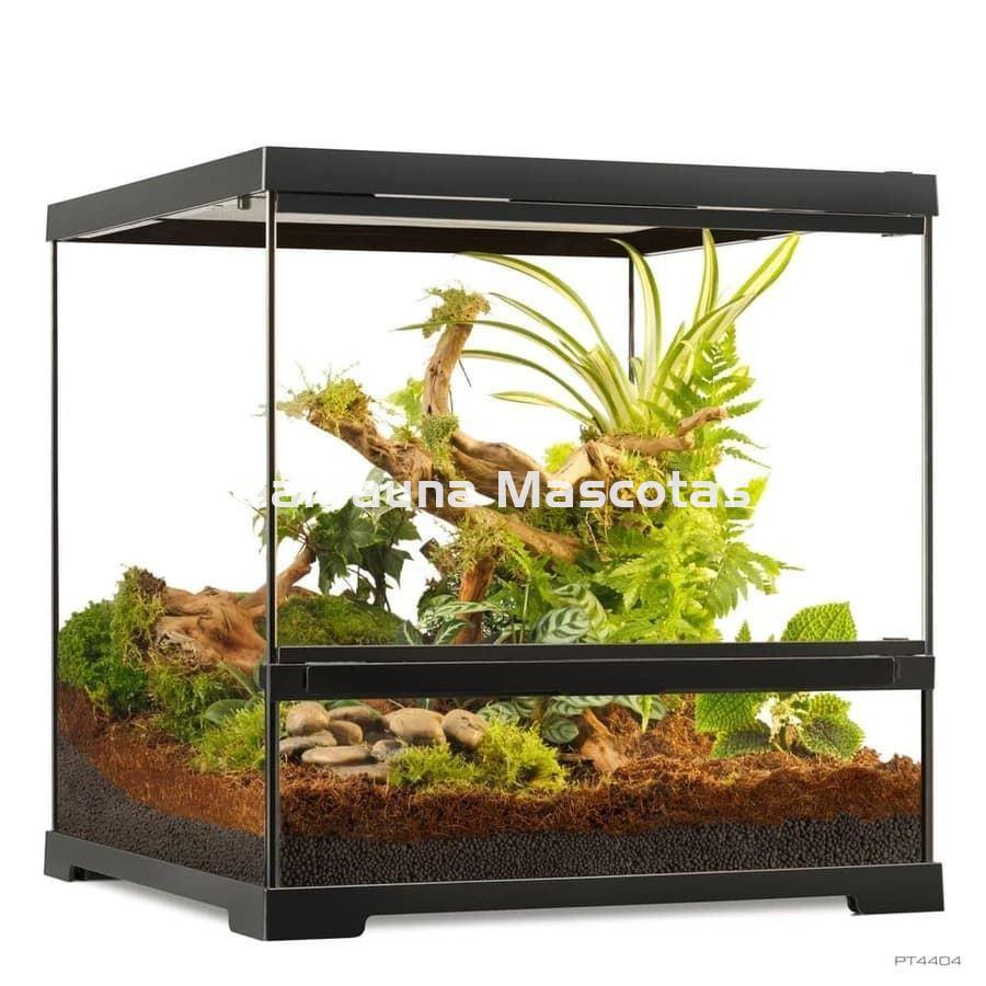 Terrario de cristal - Exo Terra Pro Terrarium de Cristal Exo Terra PEQUEÑO - Imagen 2