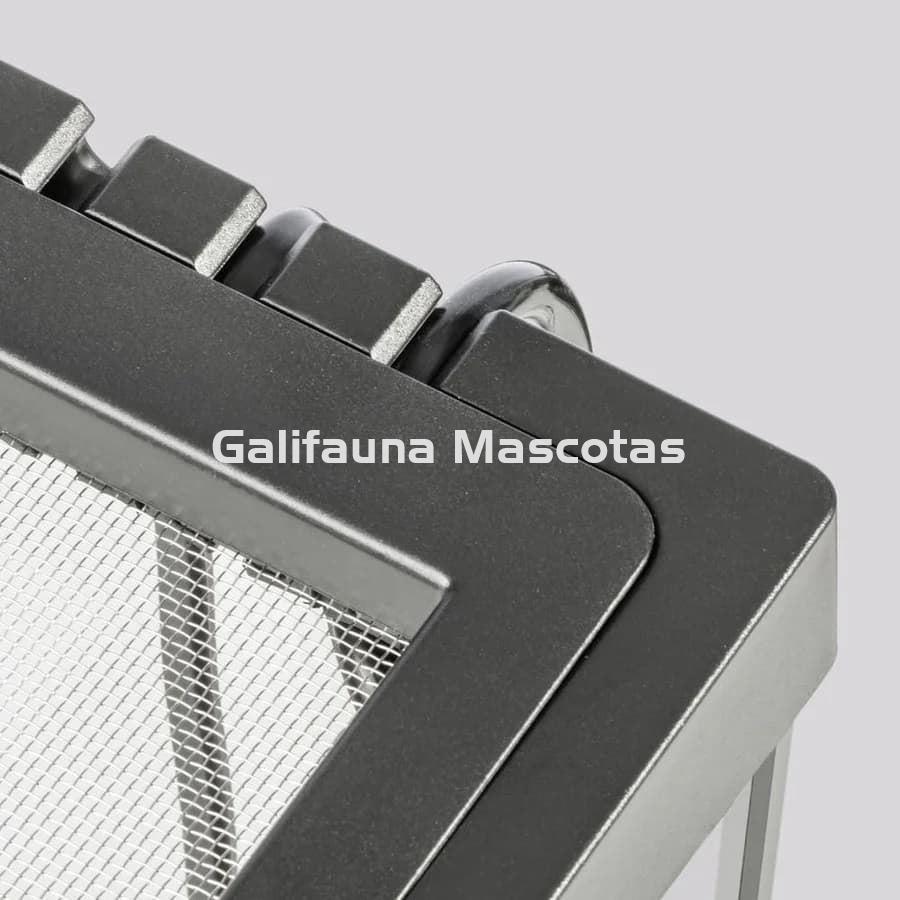 Terrario pequeño de cristal - Exo Terra Pro Terrarium de Cristal Exo Terra XS - Imagen 5