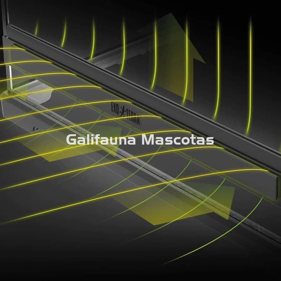 Terrario pequeño de cristal - Exo Terra Pro Terrarium de Cristal Exo Terra XS - Imagen 7