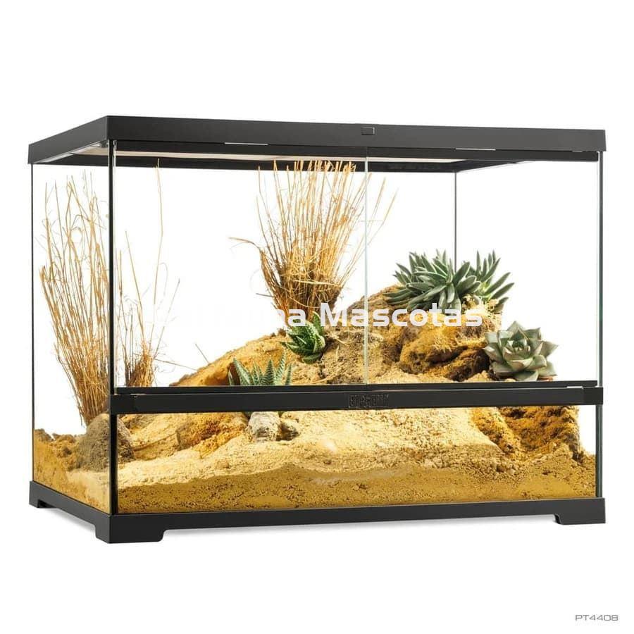 Terrario pequeño de cristal - Exo Terra Pro Terrarium de Cristal Exo Terra XS - Imagen 9