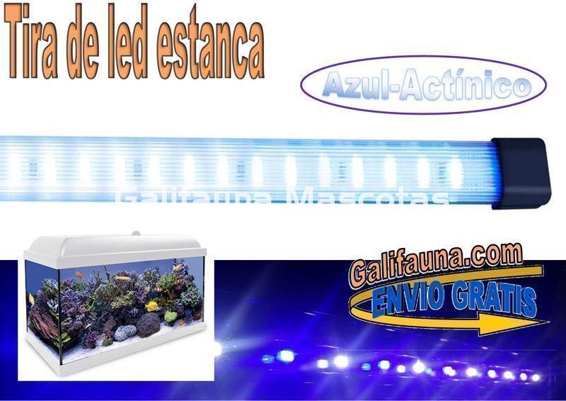 Tira de led  Estanca. Azul. Varias medidas. - Imagen 1