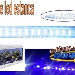 Tira de led  Estanca. Azul. Varias medidas. - Imagen 1