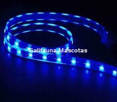 Tira de led  Estanca. Azul. Varias medidas. - Imagen 2