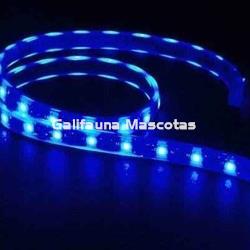 Tira de led  Estanca. Azul. Varias medidas. - Imagen 2
