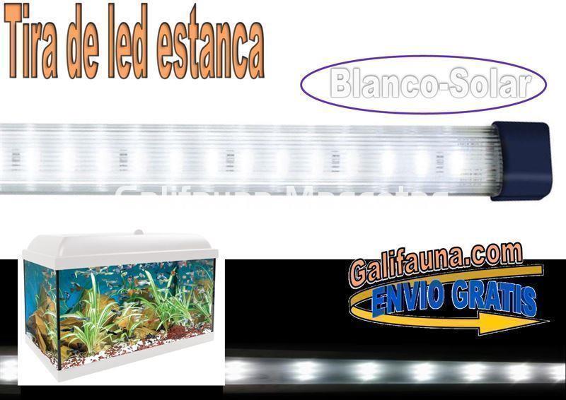 Tira de led  Estanca. Blanca. Varias medidas. - Imagen 1