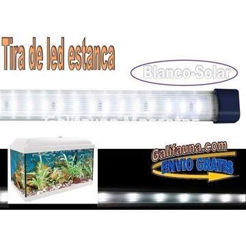 Tira de led  Estanca. Blanca. Varias medidas. - Imagen 1