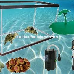 Tortuguera alta confort turtle. KIT 40 / 50 cm.  Con calentador de agua. - Imagen 2