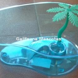 Tortuguera de riñon con isla y palmera pequeña. - Imagen 1