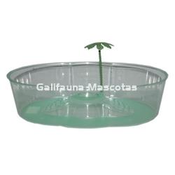 Tortuguera de riñon con isla y palmera. - Imagen 2