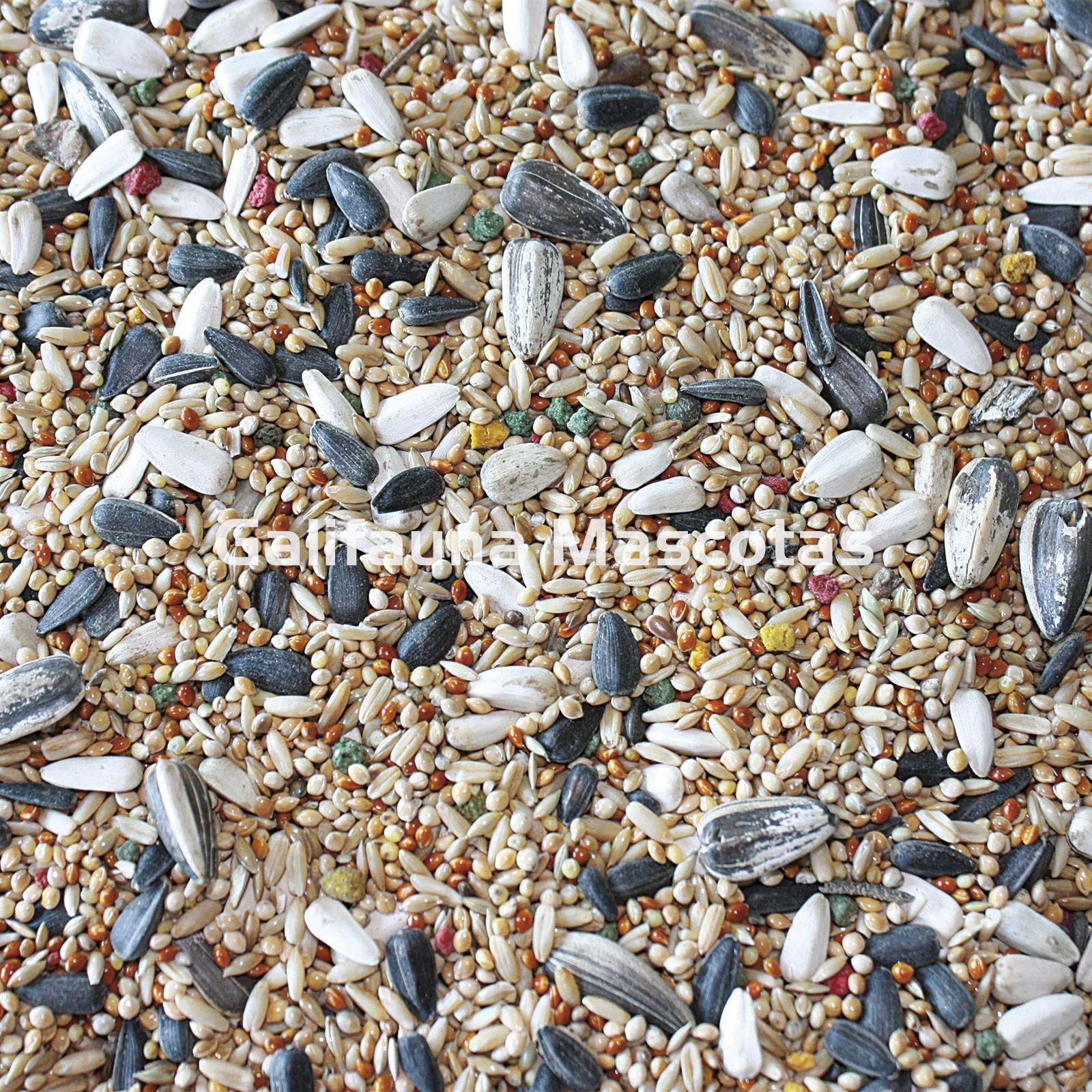 VITPRO Cotorras, Agapornis y Ninfas. Alimento super premium para aves. - Imagen 2