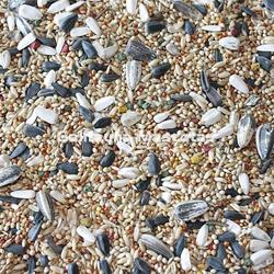 VITPRO Cotorras, Agapornis y Ninfas. Alimento super premium para aves. - Imagen 2