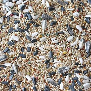 VITPRO Cotorras, Agapornis y Ninfas. Alimento super premium para aves. - Imagen 2